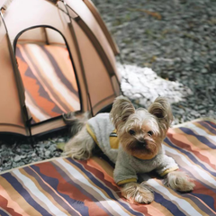 Portable Pet Camping Tent Outdoor