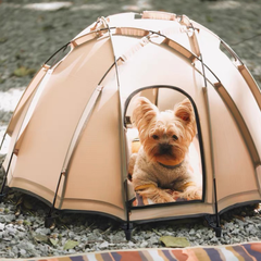 Portable Pet Camping Tent Outdoor