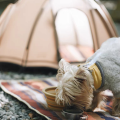 Portable Pet Camping Tent Outdoor