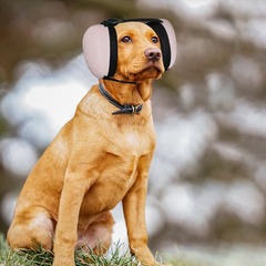 Ear Muffs for Dog Hearing Protection