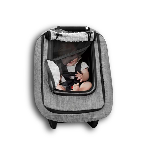 Carseat cover